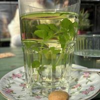 Mint tea straight from the garden  at Jennys Æblehaven in Nexo