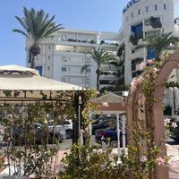 Outdoor seating area  at Rosas Cafe in Malaga