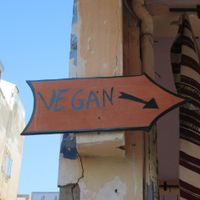 Follow this sign from Rue Laalouj! at Shyadma's Vegan Food in Essaouira