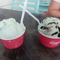 Coconut lime and mint oreo at Drippy's Homemade Ice Cream Bus in Murrells Inlet