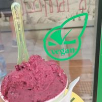 Vegan option at Bubamara Gelato in Belgrade