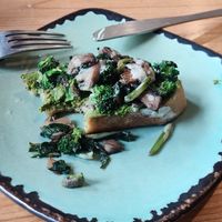 Mushroom pesto open toast at Metta Cafe in Leh