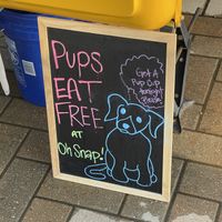 Pups eat free!  at Oh Snap! Ice Cream in Bentonville