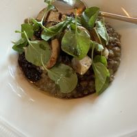 Risotto   at Blossom & Root Kitchen in Danville