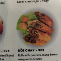 The WORST! Spring rolls and curry I bought in 2.7 years in Vietnam😵‍💫 at Vegan Sattvik in Mui Ne