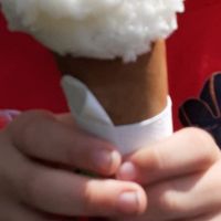 Lemon sorbet at Crook Hall and Gardens in Durham