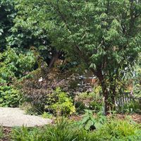  at The Gallery Cafe in East London