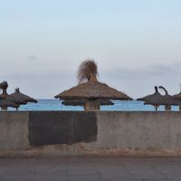 Locale posto sul lungomare, posto privilegiato. Questa la vista dal nostro tavolo. Qualche opzione vegana, privato il veggie burger, porzioni abbondanti, saporito.la pizza vegetari at Miles Cala Millor in Mallorca