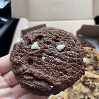 new cold brew flavor with white chocolate chips    at Insomnia Cookies in Gainesville