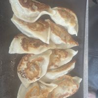 Pork dumplings   at Mason's Dumpling Shop in Boulder