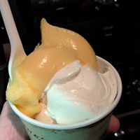 Tangerine Sorbet and Vanilla Bean Coconut based Ice Cream #Veganuary at Clementine's Naughty & Nice Creamery in Kirkwood
