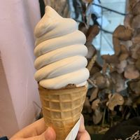 Vegan soft serve cone  at SMOOCH in Dublin