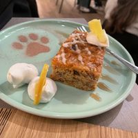   at Katzentempel in Cologne