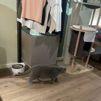   at Katzentempel in Cologne