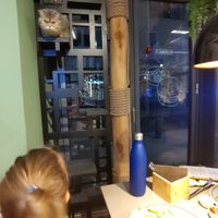 DO NOT PET THE HUMANS at Katzentempel in Cologne