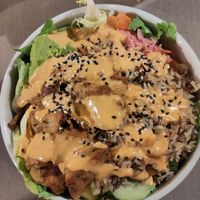  at Katzentempel in Cologne