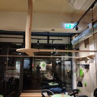 Catwalks towards the front at Katzentempel in Cologne