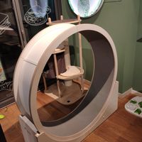 Cat wheel at Katzentempel in Cologne