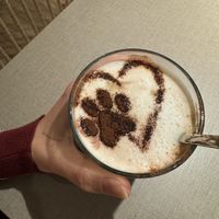   at Katzentempel in Cologne