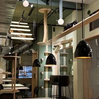   at Katzentempel in Cologne