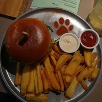  at Katzentempel in Cologne