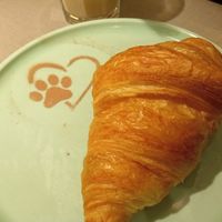 Delicious at Katzentempel in Cologne