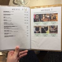   at Katzentempel in Cologne