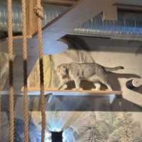   at Katzentempel in Cologne