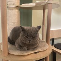   at Katzentempel in Cologne