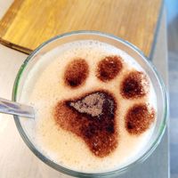 chai latte at Katzentempel in Cologne