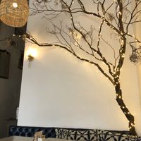 Tree with lights ❤️ at Le Salbuen Cafe Market in Montclair