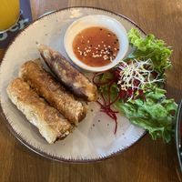 Spring rolls   at Vegan Haus in Berlin