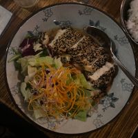   at Vegan Haus in Berlin