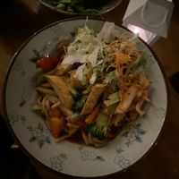 Edamame (6€) and Udon with Tofu and vegetables (14,50€)  at Vegan Haus in Berlin