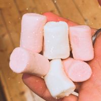 Vegan marshmallows😄 at Candy Freaks in Amsterdam