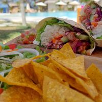 Vegan wrap  at Cactus in Penida Island