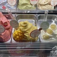 Good selection of vegan flavors clearly marked   at Gelatissimo in Phuket