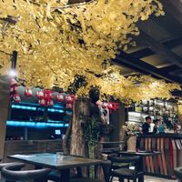   at Golden Ginkgo  in Berlin