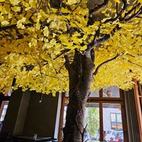  at Golden Ginkgo  in Berlin