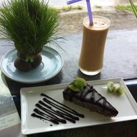 delusions  at Atsumi Raw Cafe in Phuket