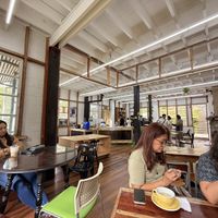 Inside the cafe  at Hot Cat  in Baguio City