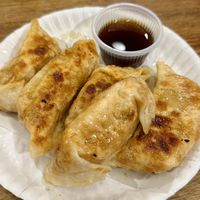 Vegan gyoza, 5 pieces (60 THB)  at Gyoza Yunnan in Chiang Mai