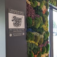  at Wellthy Juice Co in Springfield