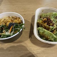 Tofu noodles and dumplings   at WLG - TJ Katsu in Wellington