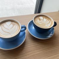 Lattes   at Dry Fly Coffee Co in New Paltz