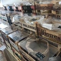 Zero waste at Masala Natural in Burgos