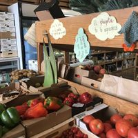 Shop at Masala Natural in Burgos