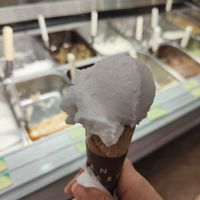 Cono at Can Natzaret in Santa Maria De Palautordera