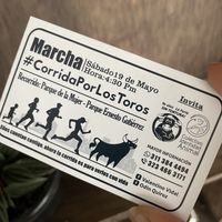 March/protest against the bull runs/fights  at Orellana in Manizales