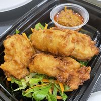   at Cisu Vegan House in Hanover